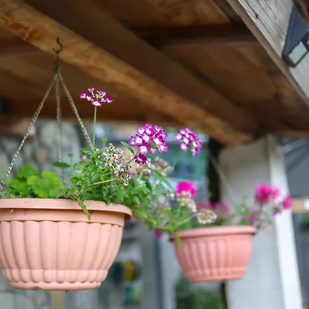 Vito Apartamento Bakar