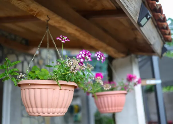 Vito Appartement Bakar